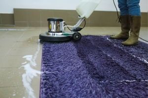 Furniture Cleaning (1)