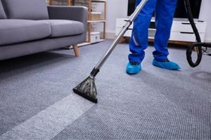 Furniture Cleaning (2)